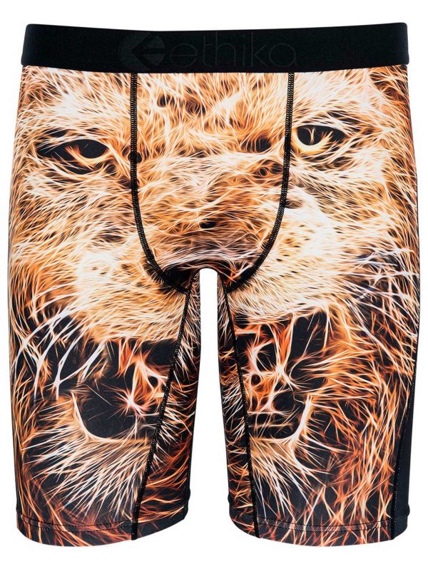 Ethika  Pride Boxershorts